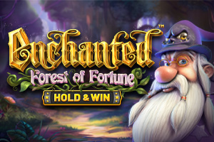 Enchanted Forest Of Fortune