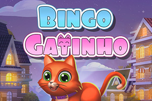 Bingo Gatinho