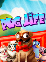 Pug Life