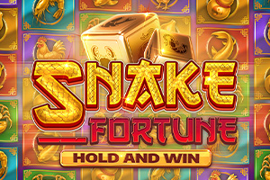 Snake Fortune Hold and Win