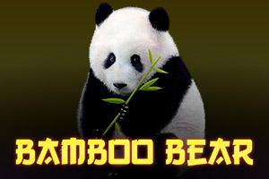 Bamboo Bear