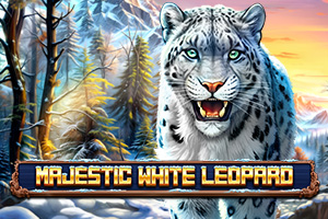 Majestic White Leopard