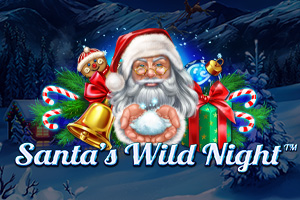 Santas Wild Night