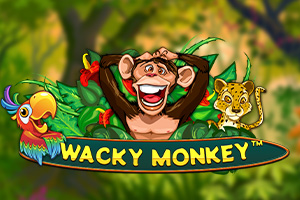 Wacky Monkey